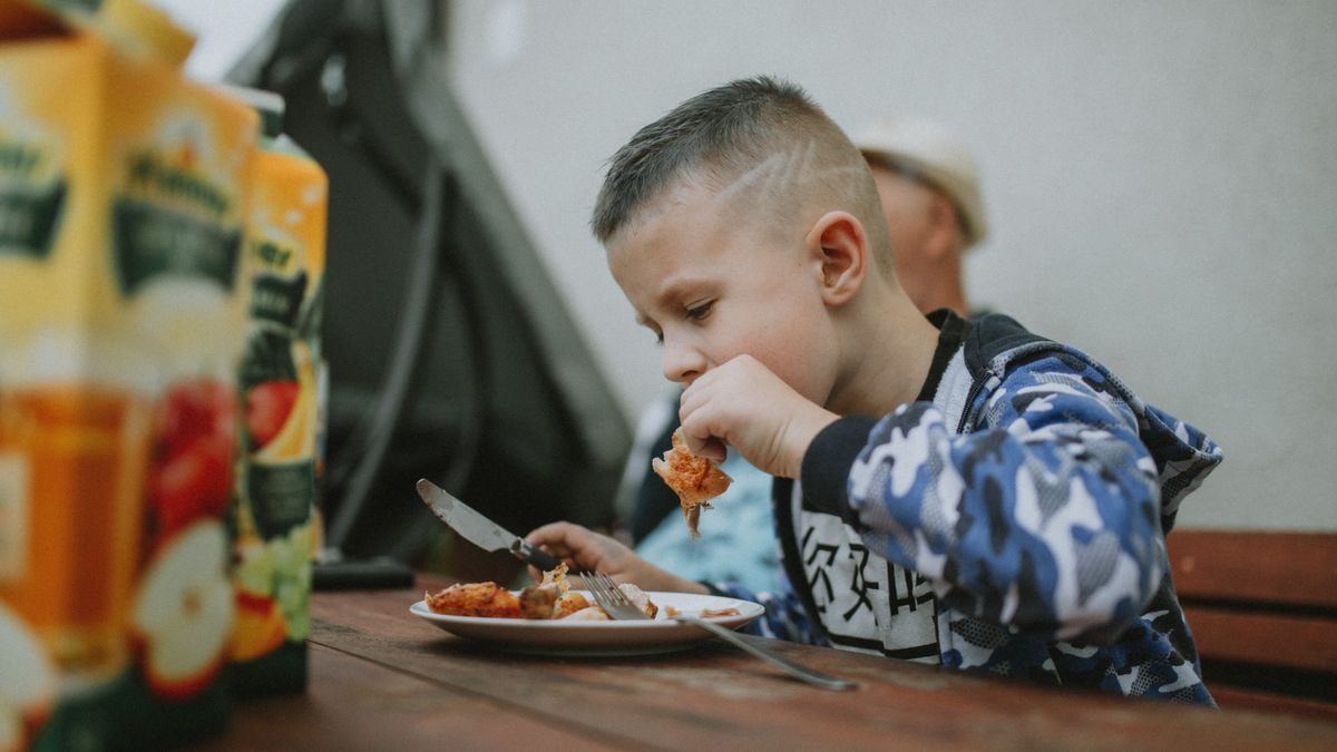 Egészséges táplálkozás alapelvei